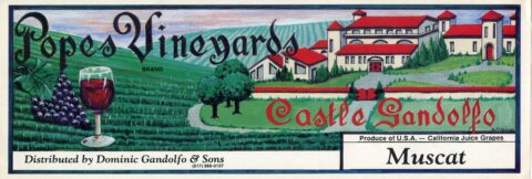 Popes Vineyards